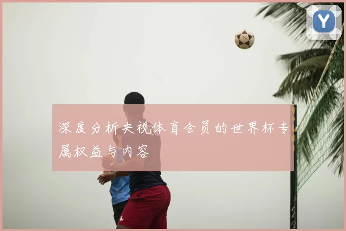 深度分析央视体育会员的世界杯专属权益与内容
