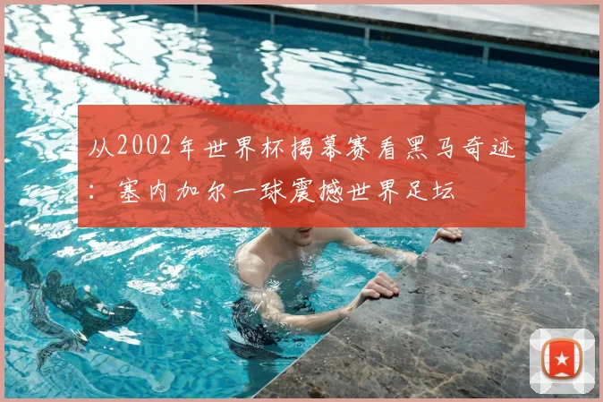 从2002年世界杯揭幕赛看黑马奇迹:塞内加尔一球震撼世界足坛