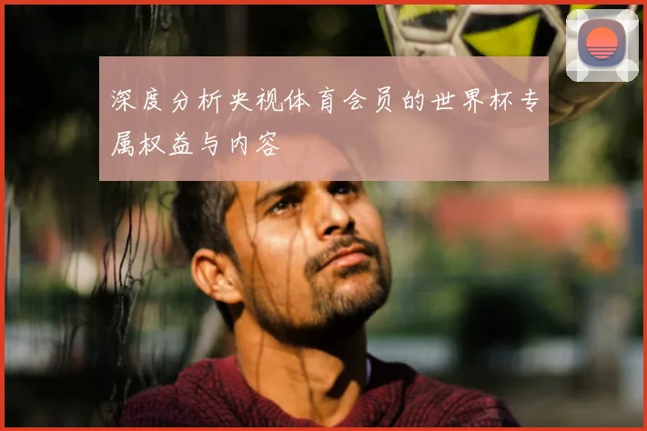 深度分析央视体育会员的世界杯专属权益与内容