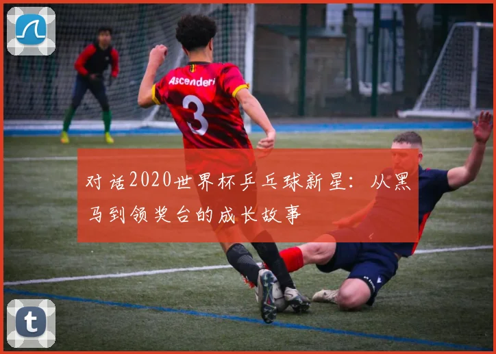 对话2020世界杯乒乓球新星：从黑马到领奖台的成长故事